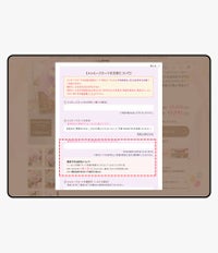 オプション欄の記号入力制御 - サムネイル2